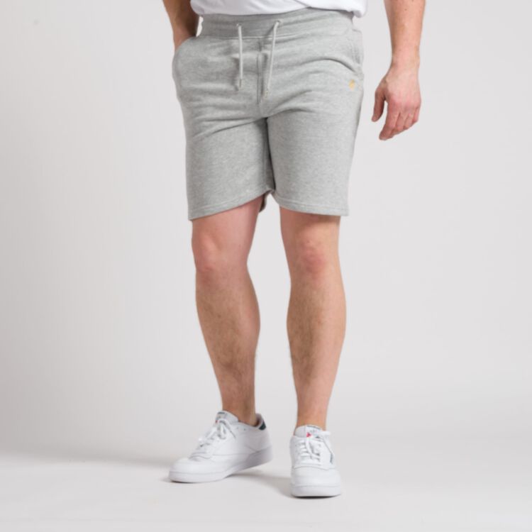 The Shorts v2 - grau meliert